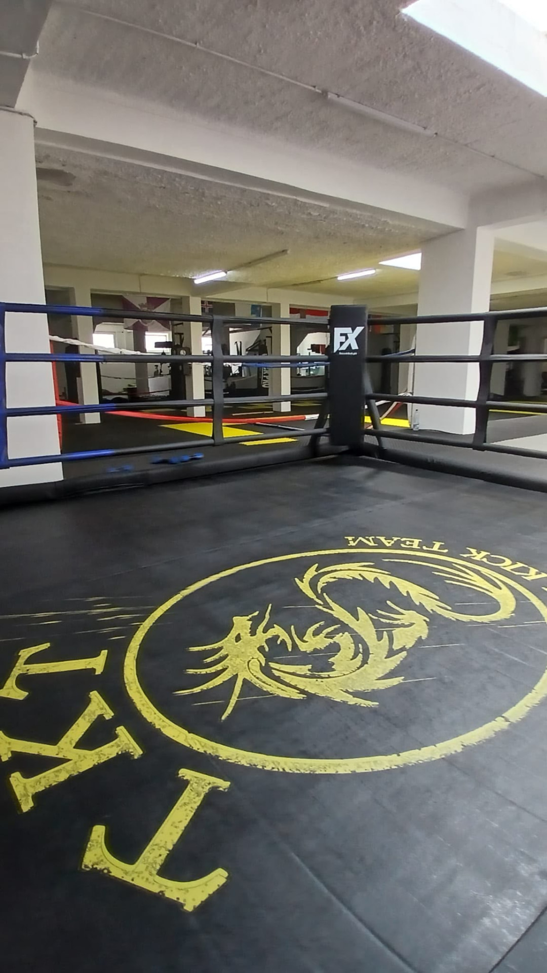 Black ring canvas with the yellow Thai Kick Team dragon