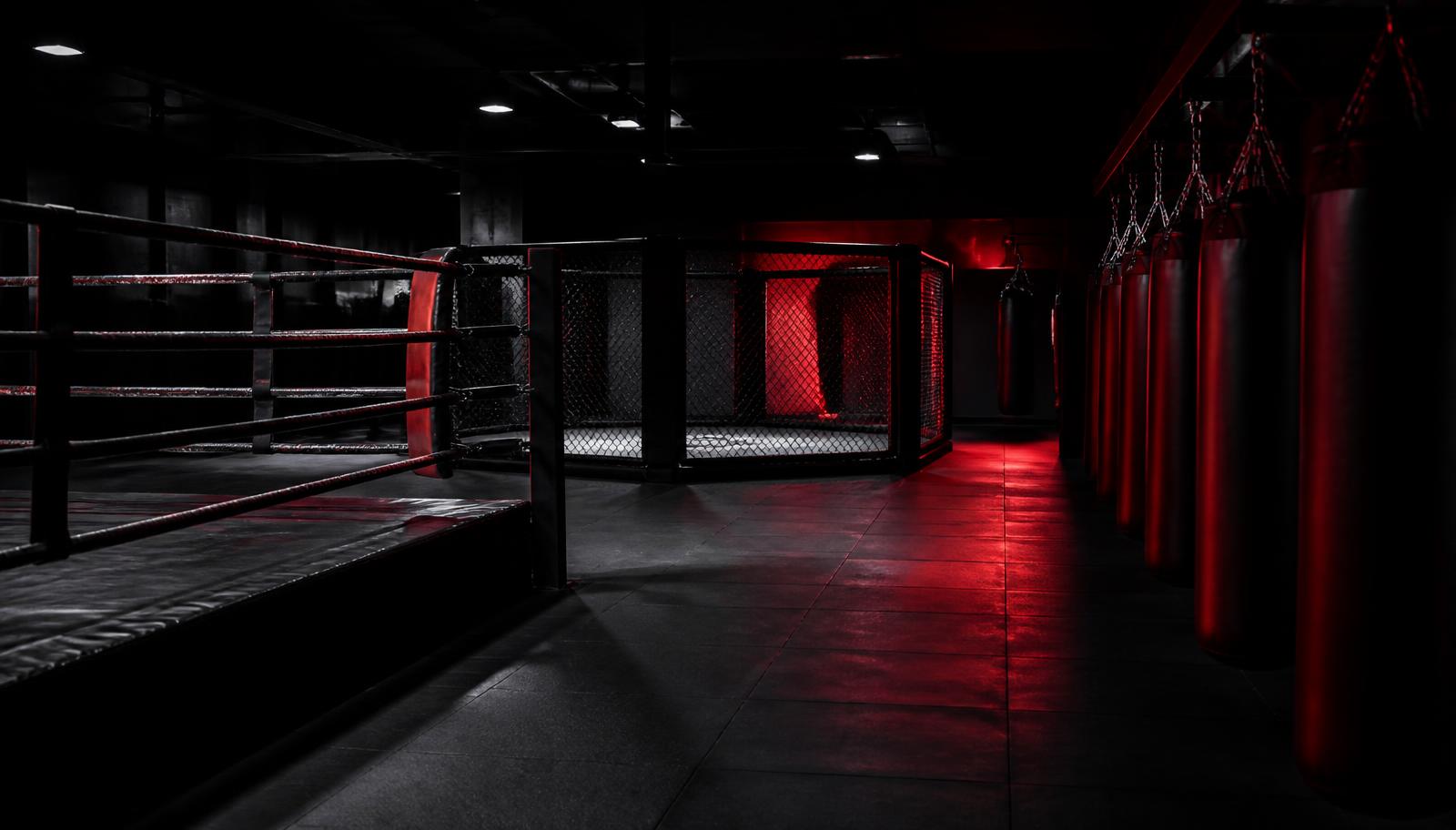 Ginásio de desportos de combate com ringue, jaula e zona de sacos